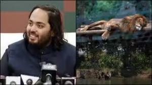 Anant Ambani launches vantara - the forest of stars