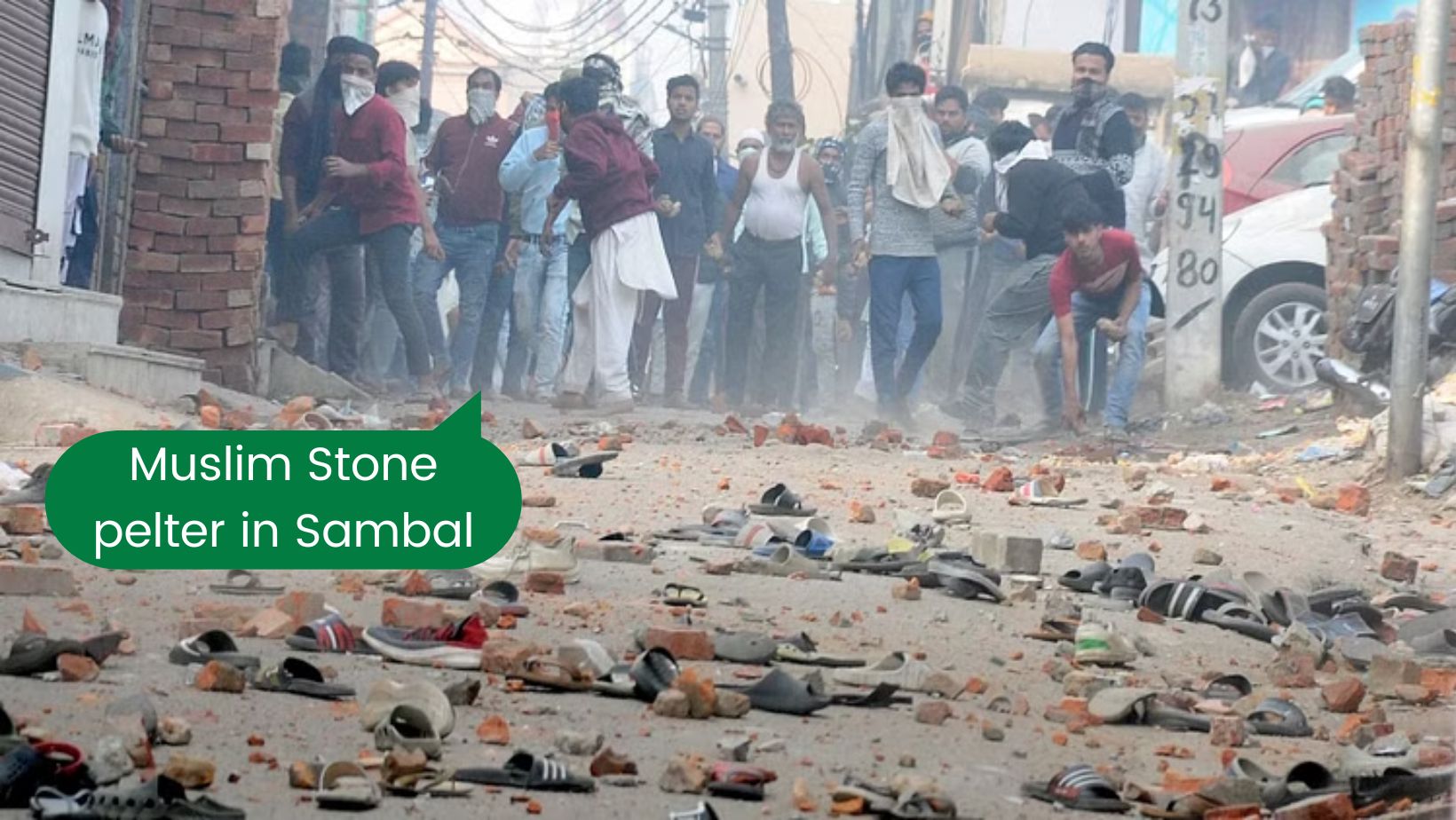 Evidence of Hari Har Temple under Mosque